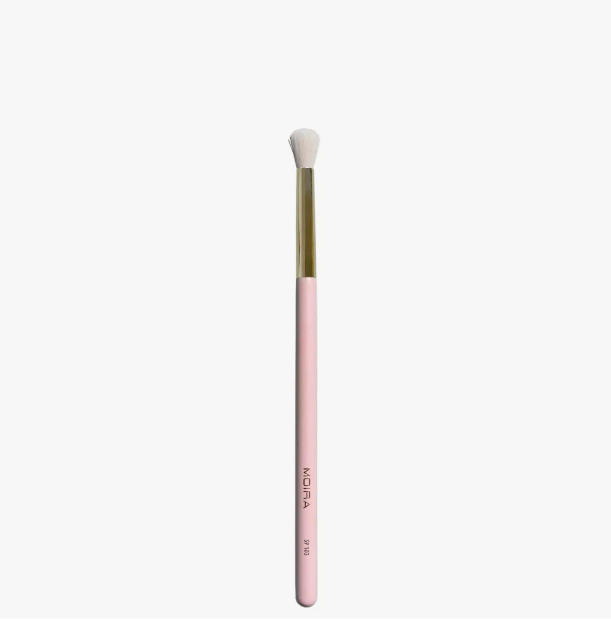 Makeup Brush